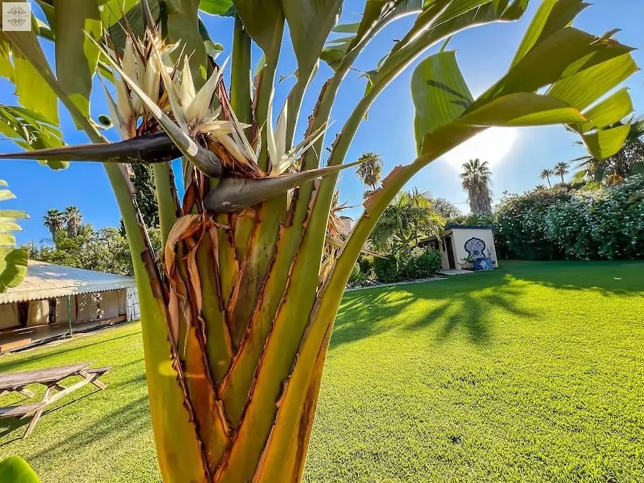 Villa Finca Tierra Sana Estepona Spanien