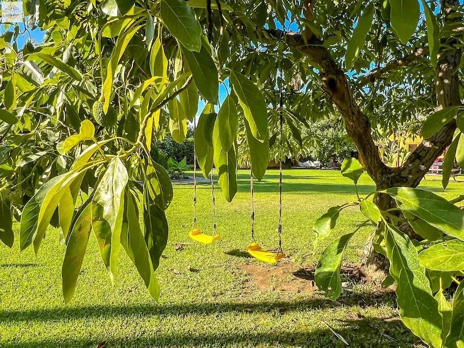 Finca Tierra Sana Estepona